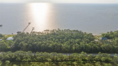 Lake Lot For Sale in Citronelle, Alabama
