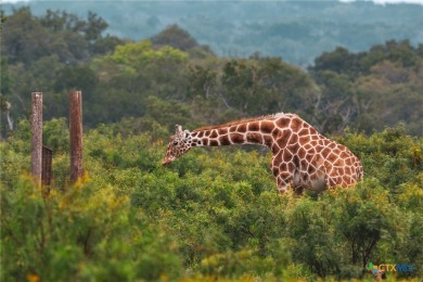 (private lake, pond, creek) Acreage For Sale in Mountain Home Texas