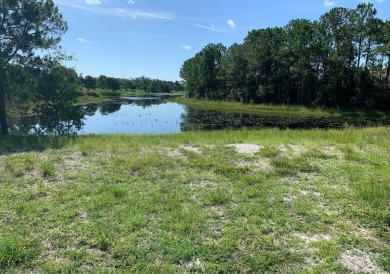 Lake Lot For Sale in Spring Hill, Florida