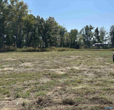 Weiss Lake Lot For Sale in Centre Alabama