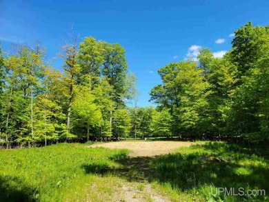 Lake Lot Off Market in Update, Michigan