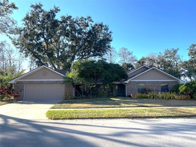 Lake Heather Home Sale Pending in Lutz Florida