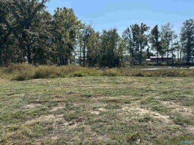 Weiss Lake Lot For Sale in Centre Alabama