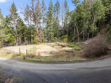 Tucked above the East Fork of the Illinois River, this 10+ acre - photo 11