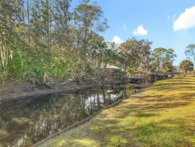 NEW LOWER PRICE IN BEAUTIFUL STONE ISLAND - 193' ON CANAL - .64 - photo 41