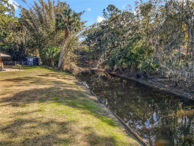 NEW LOWER PRICE IN BEAUTIFUL STONE ISLAND - 193' ON CANAL - .64 - photo 42