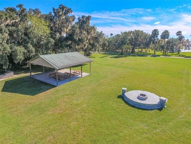 NEW LOWER PRICE IN BEAUTIFUL STONE ISLAND - 193' ON CANAL - .64 - photo 49