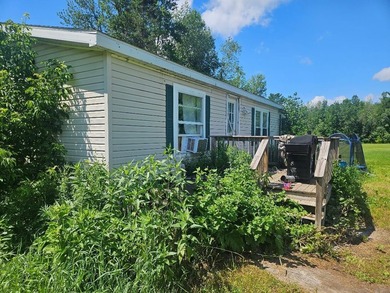 3 bedroom 2 bath home in a nice location, Home needs some work - photo 4