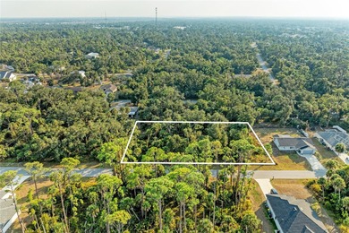 Port Charlotte Waterway Lakes Area Lot Sale Pending in Port Charlotte Florida