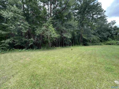 Lake Lot For Sale in Centre, Alabama