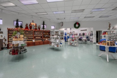 For the first time ever, this well-maintained shopping center is - photo 28