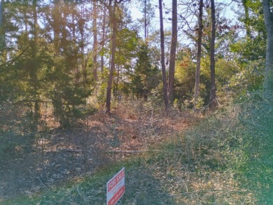 Lake Community, Golf Cart Friendly, Water view, RV Lot SOLD - photo 3