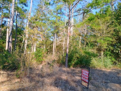 Lake Community, Golf Cart Friendly, Water view, RV Lot SOLD - photo 4