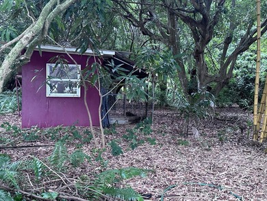 Versatile Land with Income Potential - Lychee, star fruit - photo 11
