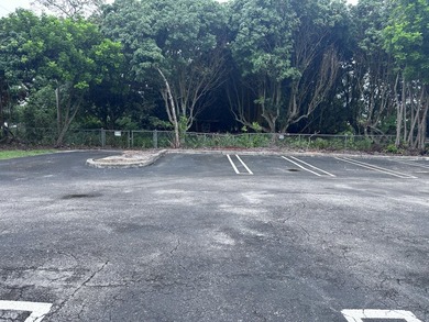 Versatile Land with Income Potential - Lychee, star fruit - photo 12