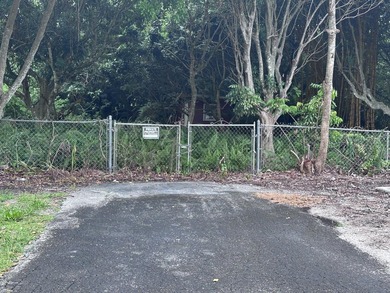 Versatile Land with Income Potential - Lychee, star fruit - photo 13