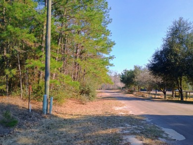 Lake Community, Golf Cart Friendly, Water view, RV Lot SOLD - photo 5