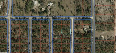 Bonable Lake Lot For Sale in Dunnellon Florida