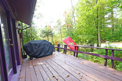 Brant Lake Estates - photo 22