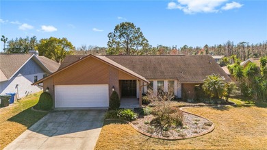 (private lake, pond, coastal) Home For Sale in Valrico Florida