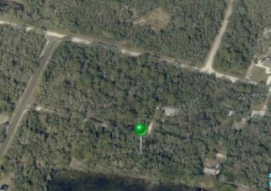 Lake Lot For Sale in Webster, Florida