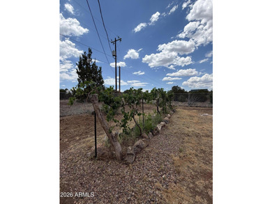 8429 Pinon Drive, Show Low, AZ 85901 - Freshly updated and - photo 25