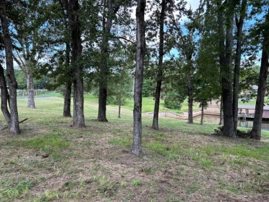 Gorgeous WF Lot in Gated Community at Lake Palestine - photo 6