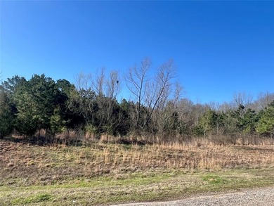 (private lake, pond, creek) Acreage For Sale in Mount Pleasant Texas