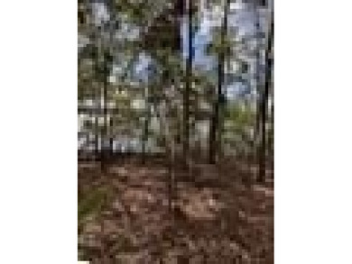 WATER FRONT LOT ON LAKE GREENWOOD!!! 2.3+/- acres on the - photo 12