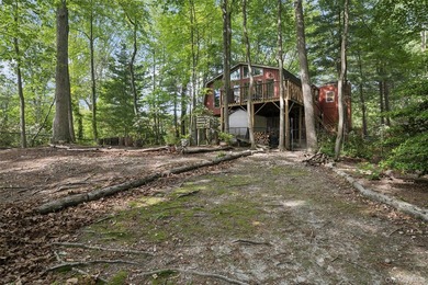 Tucked away among towering trees in the heart of Miller Place - photo 39