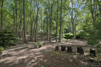 Tucked away among towering trees in the heart of Miller Place - photo 41