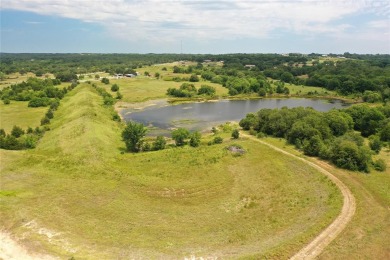 (private lake, pond, creek) Acreage For Sale in Forestburg Texas