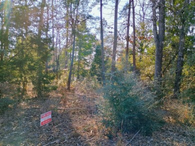 Lake Community, Golf Cart Friendly, Water view, RV Lot SOLD - photo 2