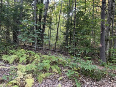 Jenness Pond Lot For Sale in Northwood New Hampshire