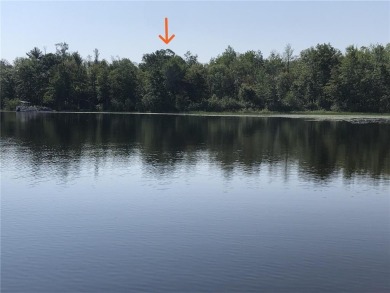 (private lake, pond, creek) Acreage For Sale in Trelipe Twp Minnesota