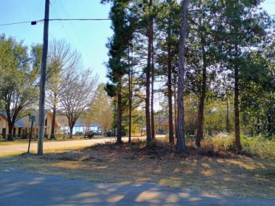Lake Community, Golf Cart Friendly, Water view, RV Lot SOLD - photo 6