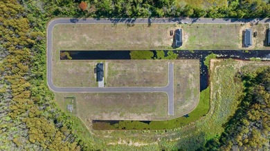 (private lake, pond, creek) Lot For Sale in Maurepas Louisiana