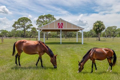 THIS IS HORSE COUNTRY! Large Beautiful Home sitting on 4.73 - photo 13
