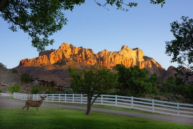 Prime 15-Acre Parcel in Springdale - Unmatched Location & Scenic - photo 1