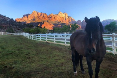 Prime 15-Acre Parcel in Springdale - Unmatched Location & Scenic - photo 5