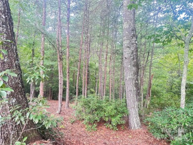 Lake James Lot For Sale in Nebo North Carolina