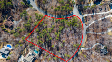 Lake Lot For Sale in Seneca, South Carolina