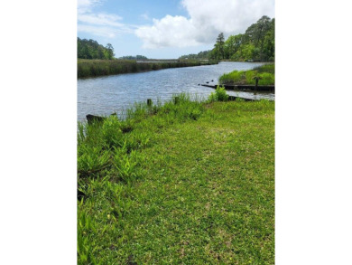 (private lake, pond, coastal) Lot For Sale in Theodore Alabama