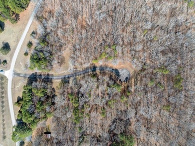 HIDDEN COVE ON KERR LAKE - Exceptional development opportunity - photo 2