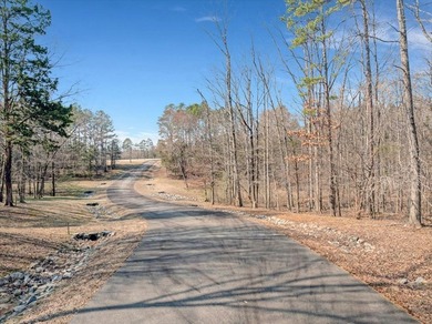 HIDDEN COVE ON KERR LAKE - Exceptional development opportunity - photo 4