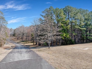 HIDDEN COVE ON KERR LAKE - Exceptional development opportunity - photo 7