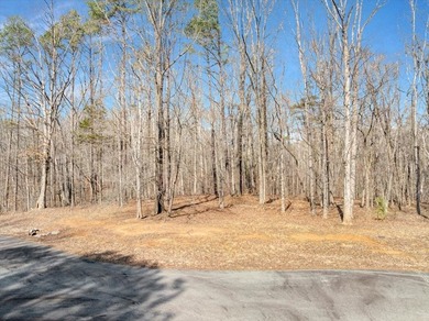 HIDDEN COVE ON KERR LAKE - Exceptional development opportunity - photo 9