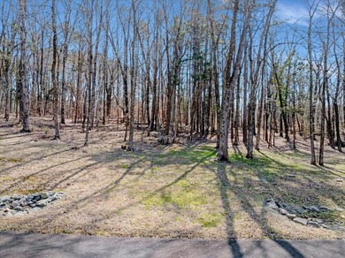 HIDDEN COVE ON KERR LAKE - Exceptional development opportunity - photo 10