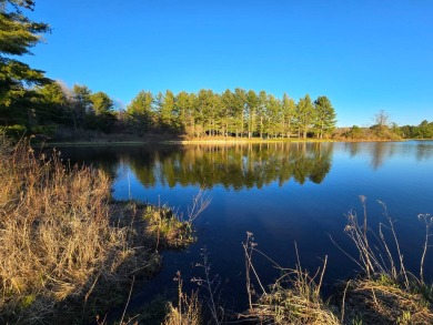 Lake Lorraine Acreage For Sale in Preston New York
