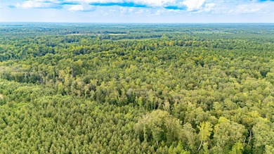 Beaverdam Lake Acreage For Sale in Gloucester County Virginia